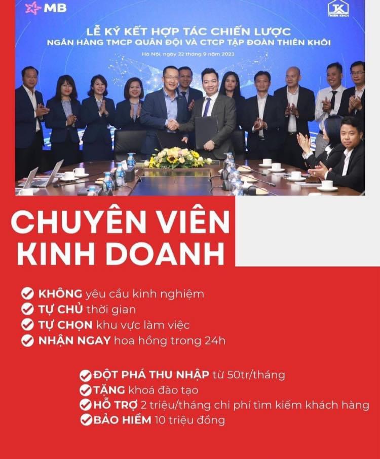 lĩnh vực hoạt động